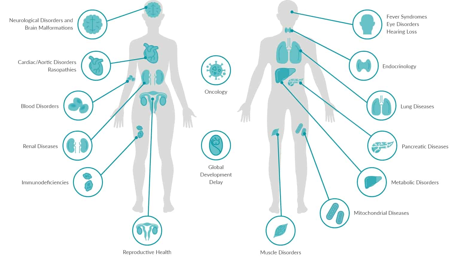 Genetic Testing For Cancer Rare Diseases And Reproductive Health