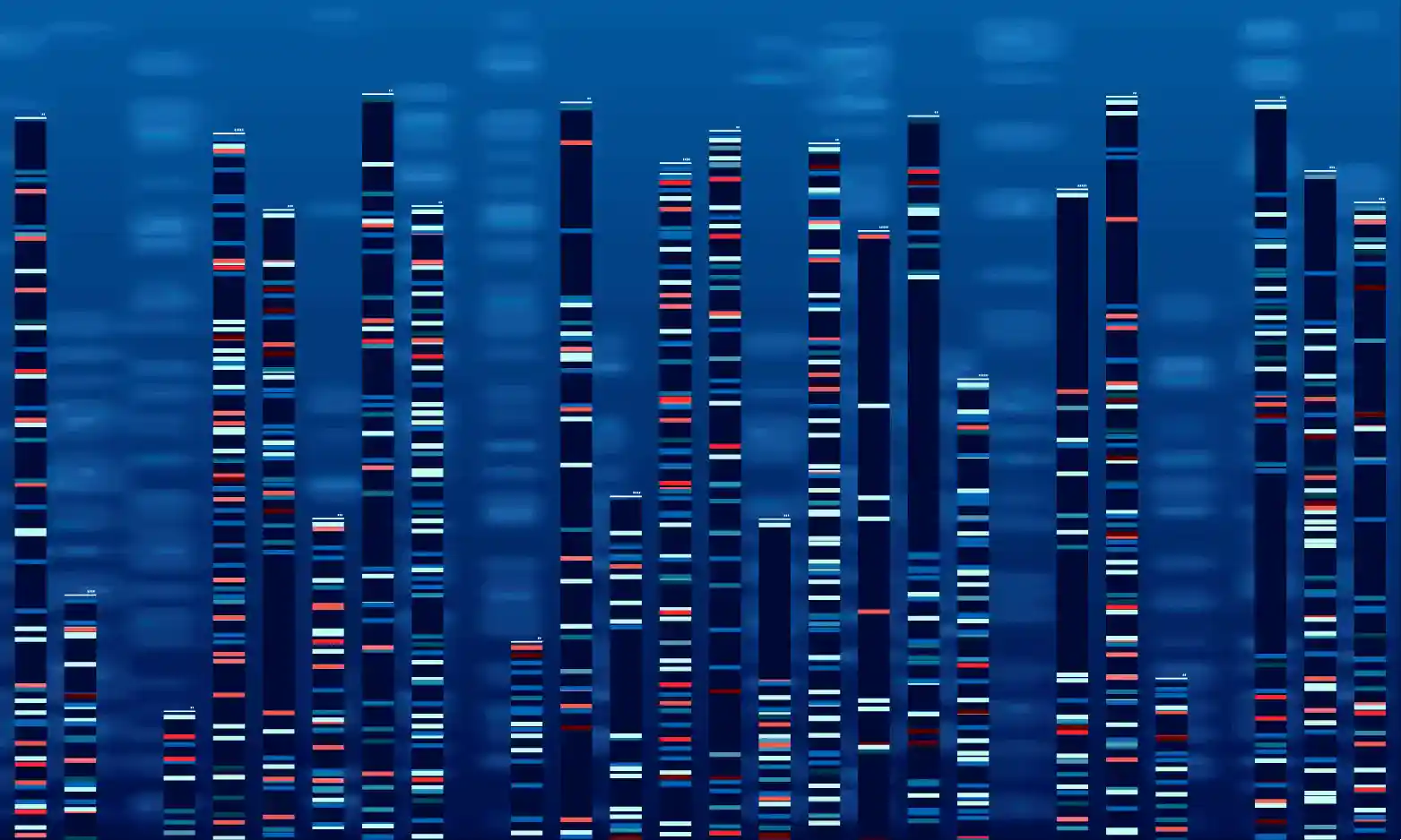 Whole Exome Sequencing Panel, Produts