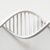 SHPRINTZEN-GOLDBERG SYNDROME (SGS)