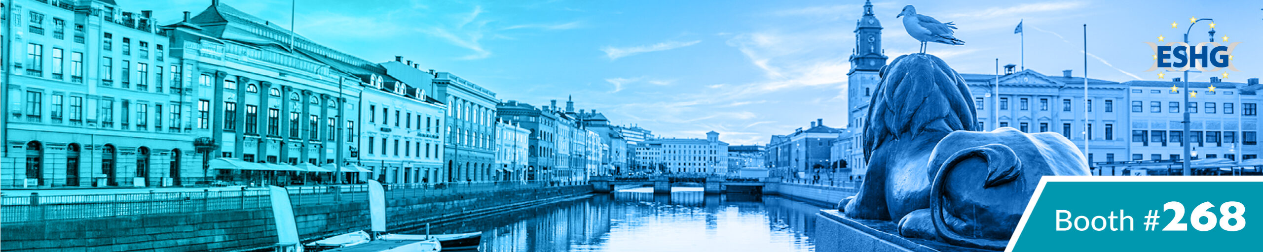 top-banner